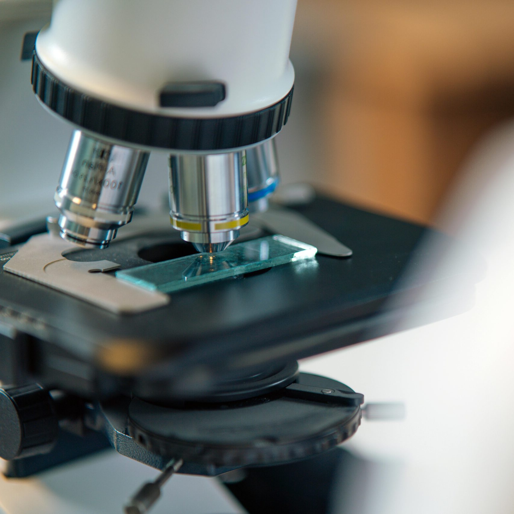 Detailed view of microscope slide setup, essential for biological research.